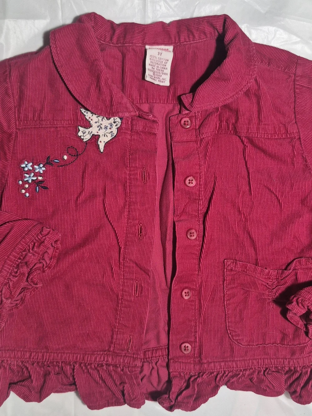 Vintage Gymboree 'Indian Summer' 2003-Corduroy Ruffle Jacket & Butterfly Top